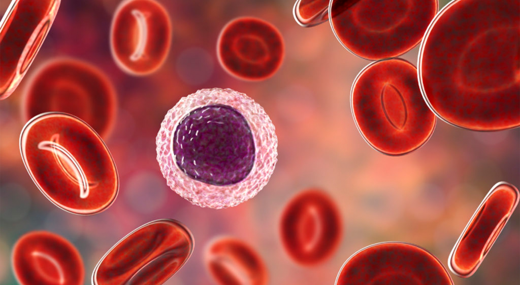 Blood Cancer Division
