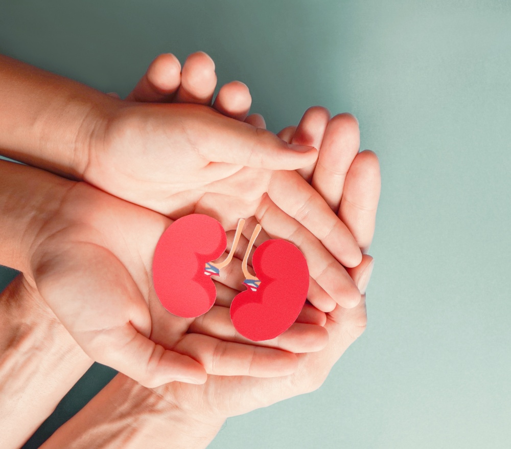 Kidney Cancer Division